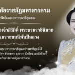 Slider_2025-11-21176370695456356